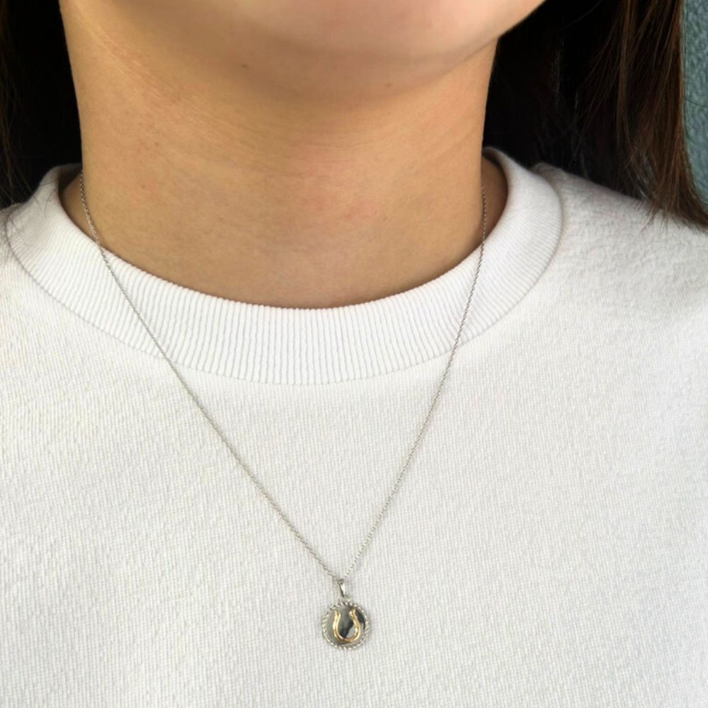 ホースシュー 馬蹄