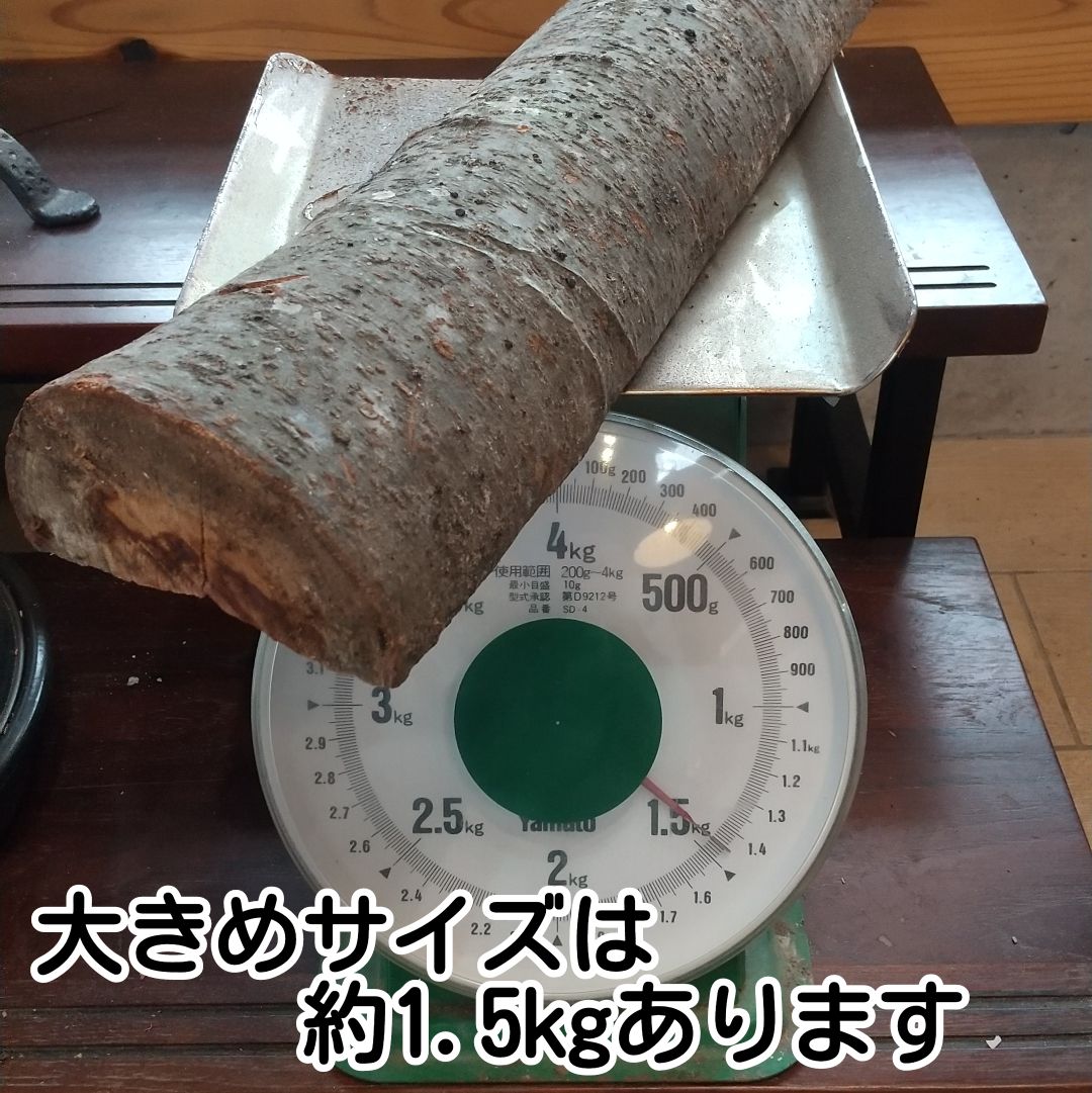 薪 広葉樹 約10kg（火持ちのよい広葉樹のまき木です） 国産 自然