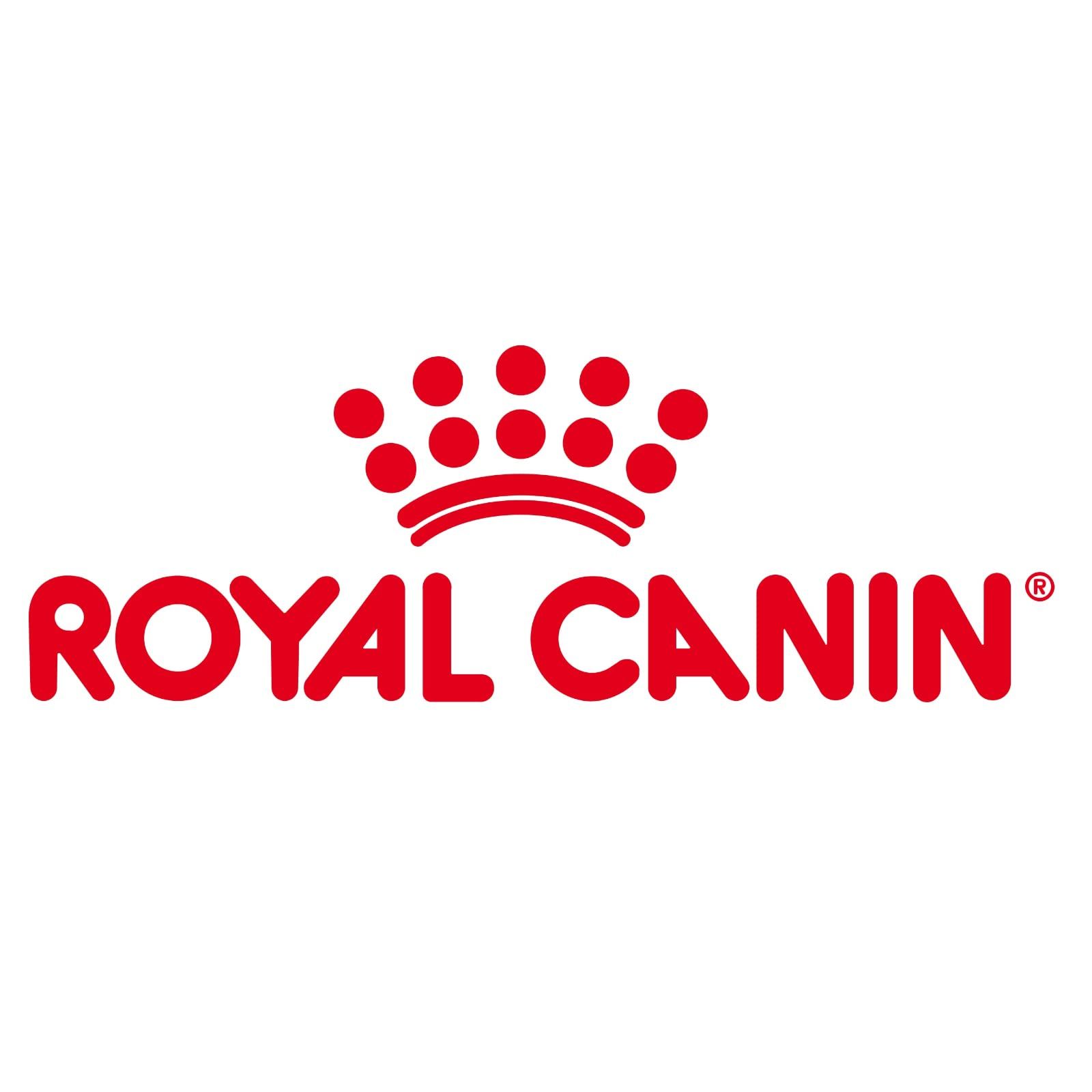 犬用