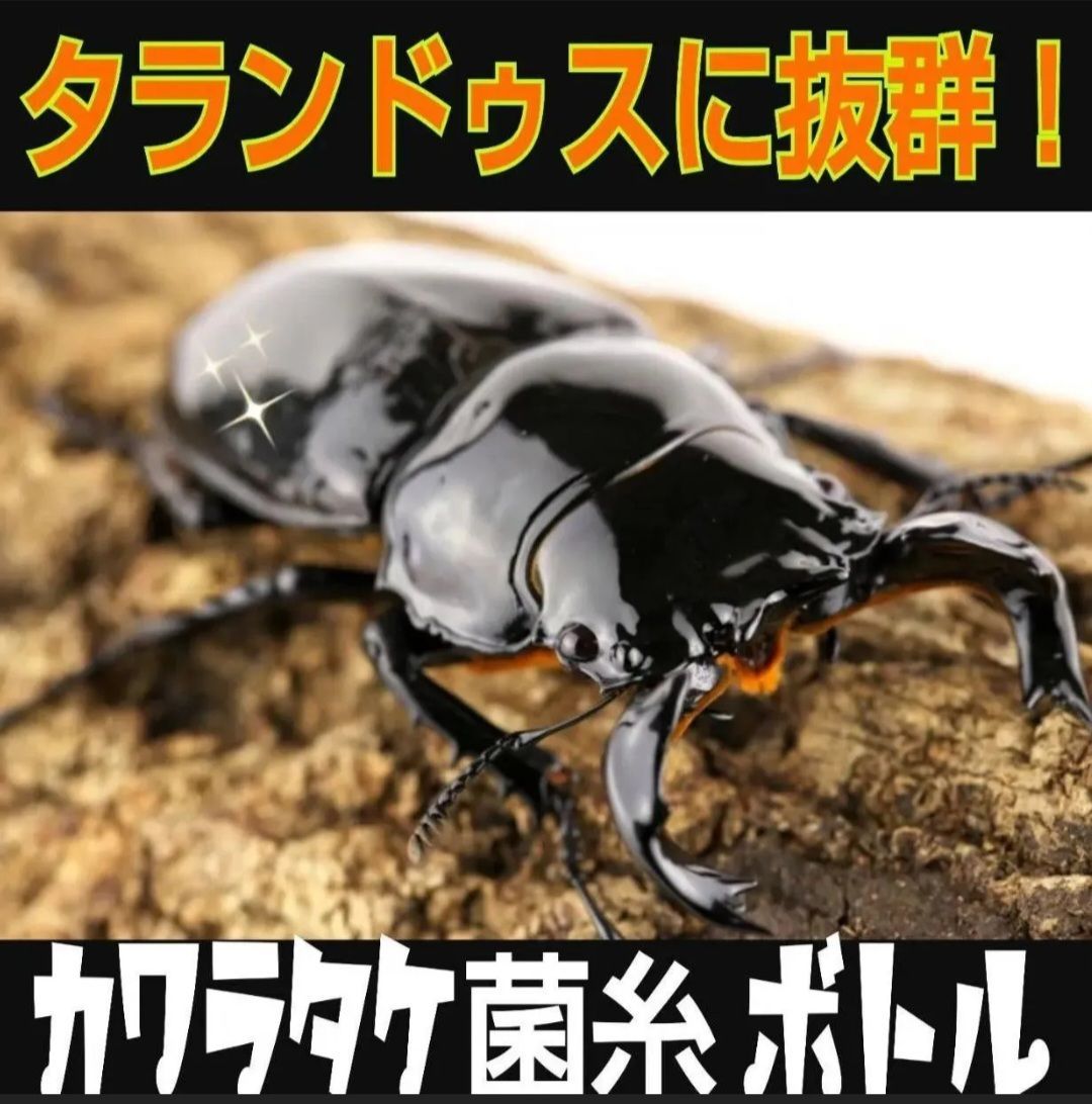 1100ml 12本セット