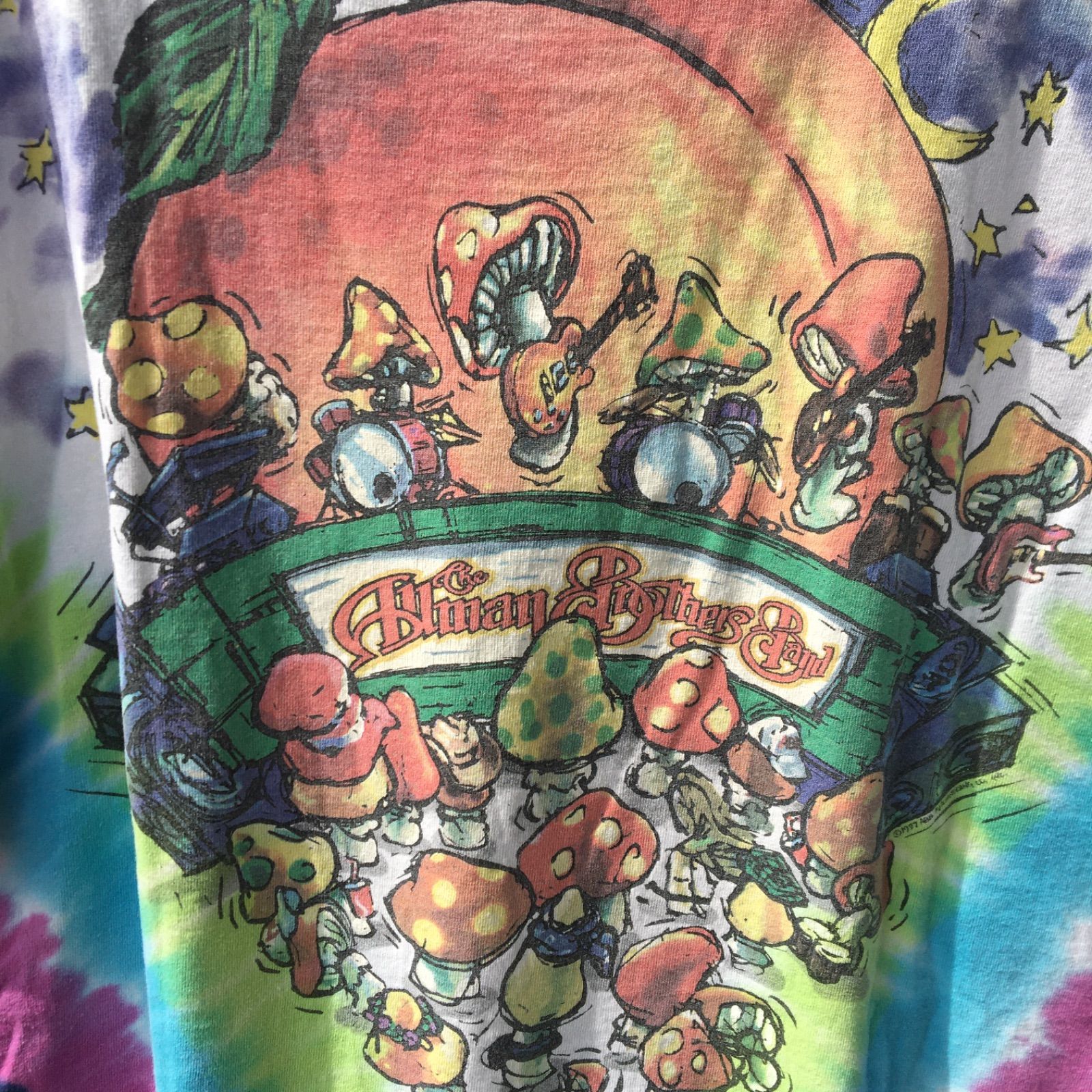 90s Liquid Blue ビンテージ オールド リキッドブルー Allman Brothers 