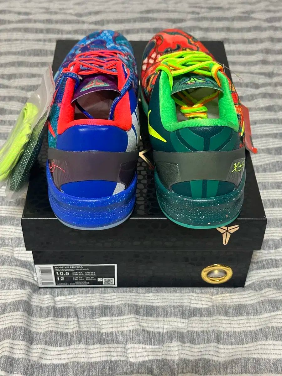 バスケットシューズ