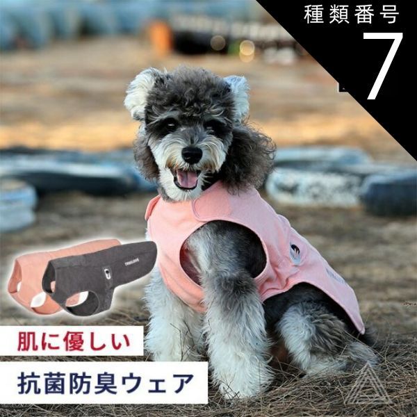 ハナサク　ファイアーエムブレム無双 風花雪月スマブラ　オデッセイ　マリカ Amazon.co.jp: ファイアーエムブレム無双 風花雪月 - Switch : ゲーム