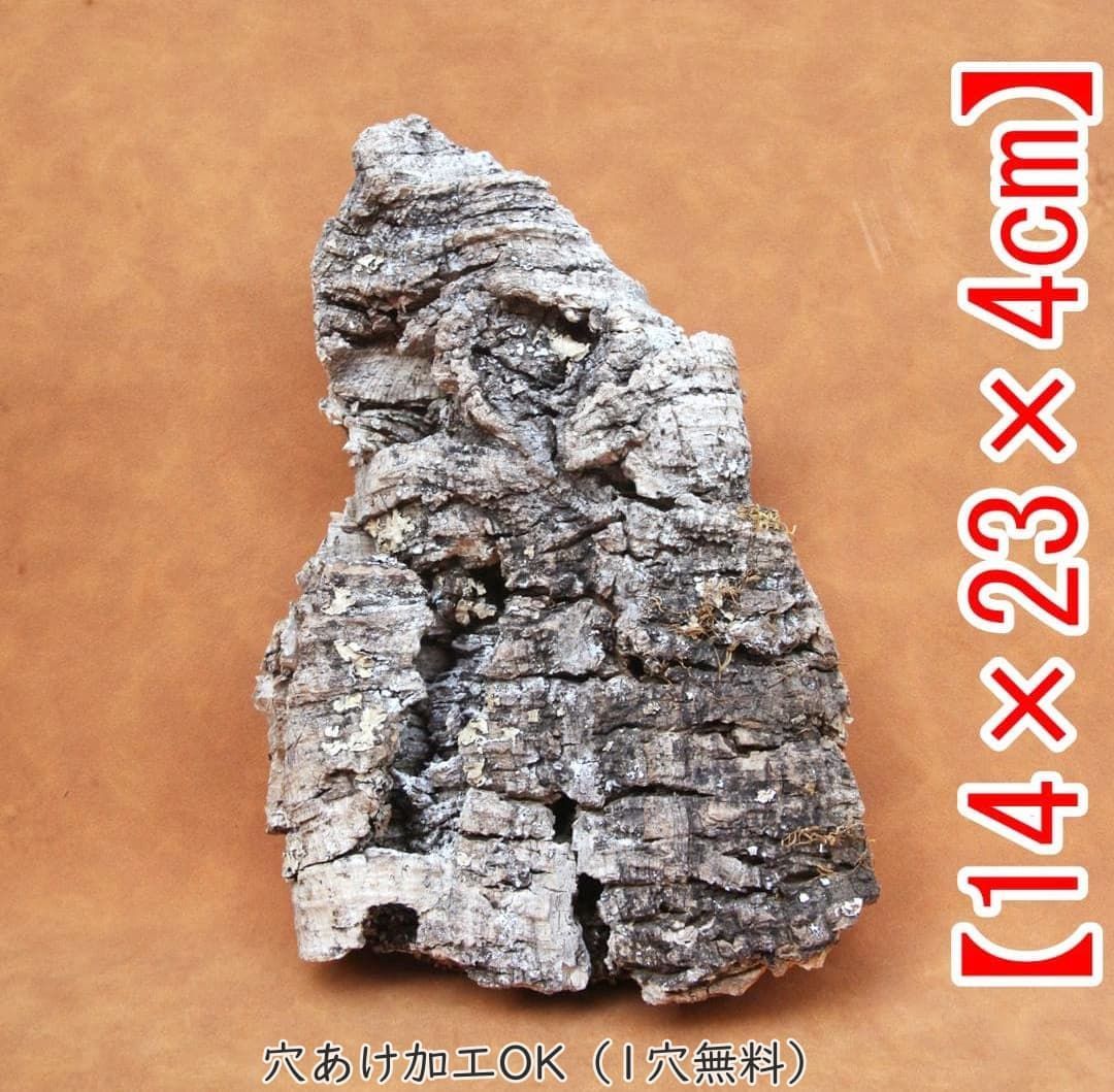 B847【ポルトガル産】 厚め コルク樹皮 コルク板　バージンコルク 送料無料 D327 ポルトガル産 厚め コルク樹皮 コルク板 バージンコルク