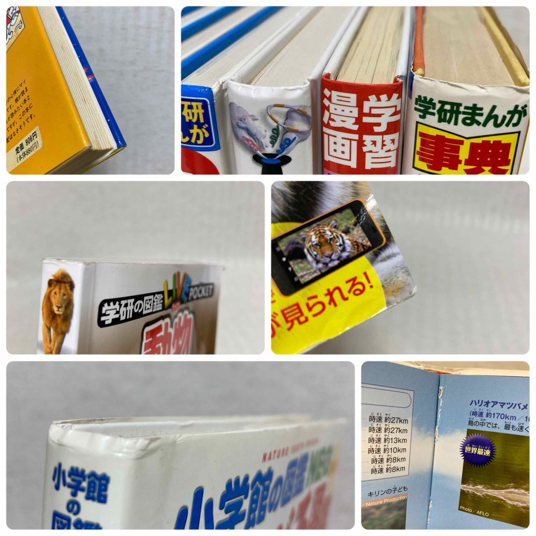 図鑑まとめ売り MOVE9冊 DVDつき 365日シリーズ くらべる図鑑