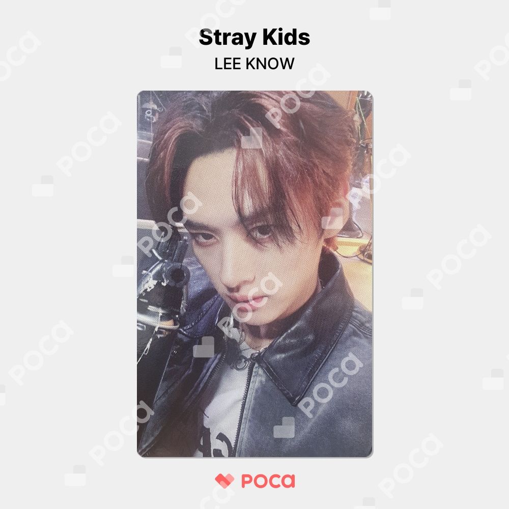 StrayKids リノ スキズ 樂-STAR ROCK-STAR トレカ straykids リノ スキズ トレカ 樂-STAR ROCK-STAR ALADDIN 公式