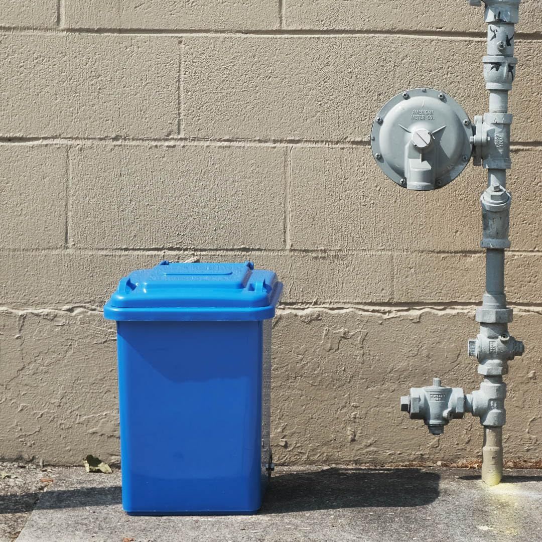 ダルトン Dulton プラスチック トラッシュカン 65L グリーン ゴミ箱のマスターピース ふた付き 大型 屋外 水抜き穴有り 高さ680mm 幅415mm 奥行460mm 100-198GN