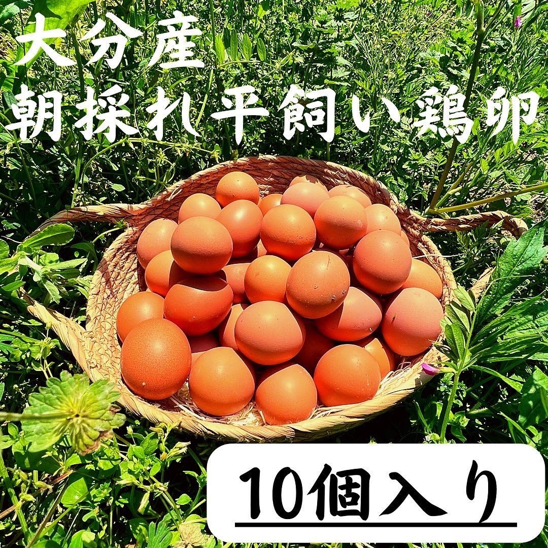 10個入り】宮下養鶏の朝採れ平飼い卵(大分県産) - メルカリ