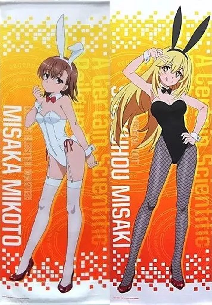 中古】タペストリー 全2種セット ロングタペストリー 「どこプラ×くじ 