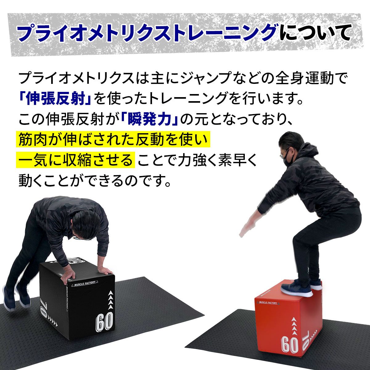 球技 フィットネス