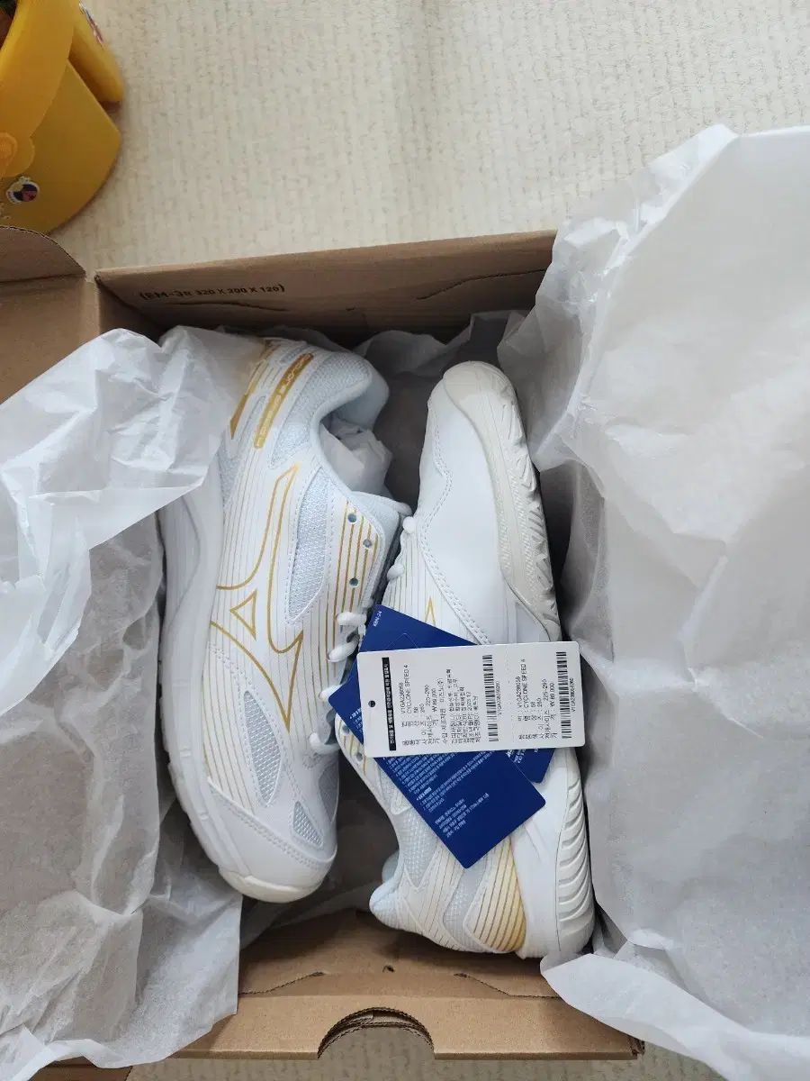 Mizuno ミズノ サイクロンスピード 4 260 販売