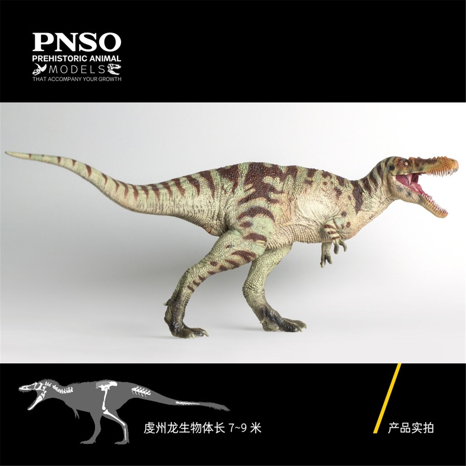 PNSO ティラノサウルス 恐竜フィギュア Amazon | PNSO 成長シリーズ 25 ティラノサウルス 恐竜