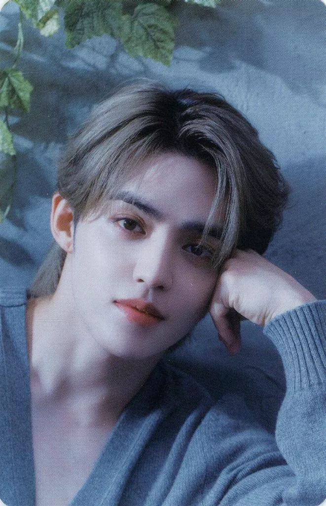 中古】コレクションカード(男性) SEVENTEEN/エスクプス(S.COUPS)/CD