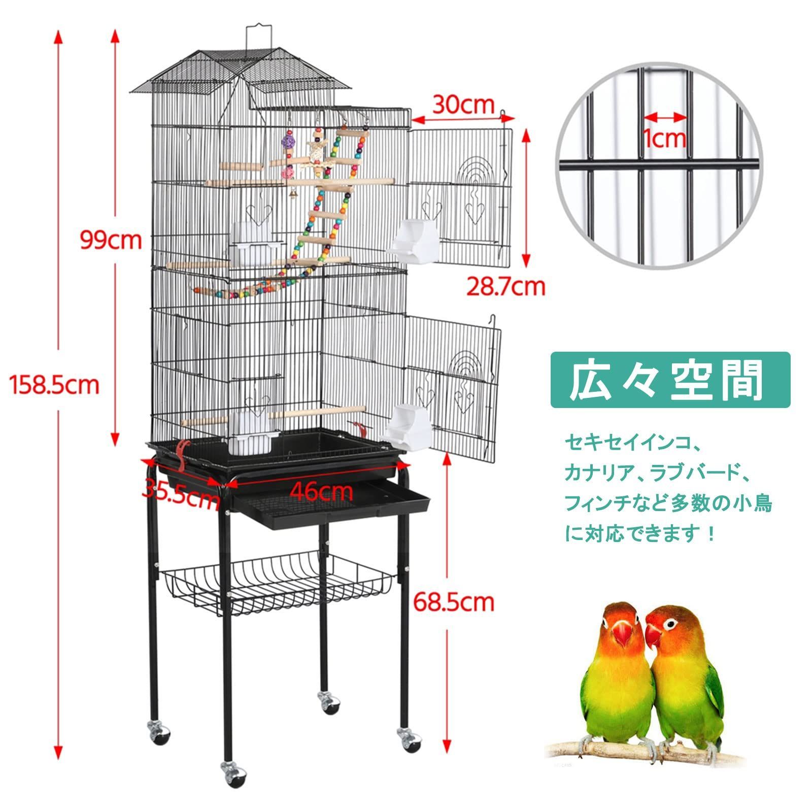 おもちゃ付き セキセイインコ