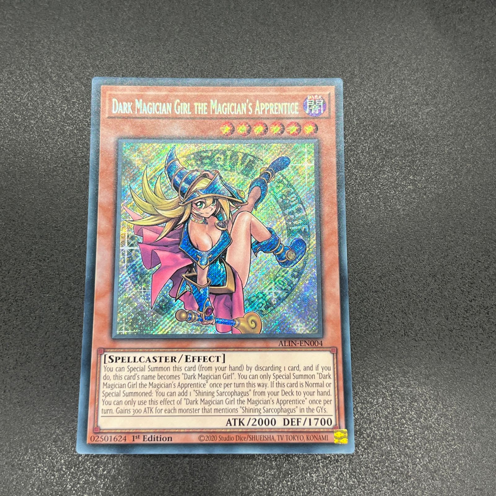 魔術師の弟子－ブラック・マジシャン・ガール　　英語版　EU版　シク　3枚 魔術師の弟子ブラックマジシャンガール シク 英語版 EU版 ALIN