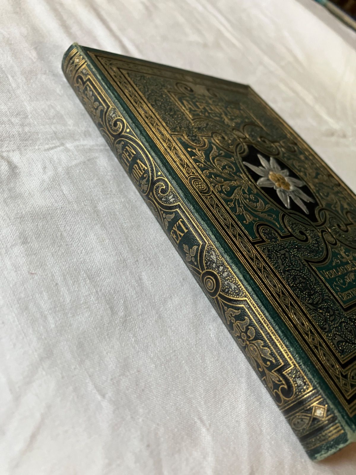 アンティーク 植物図鑑 Alpen Flora テキスト篇