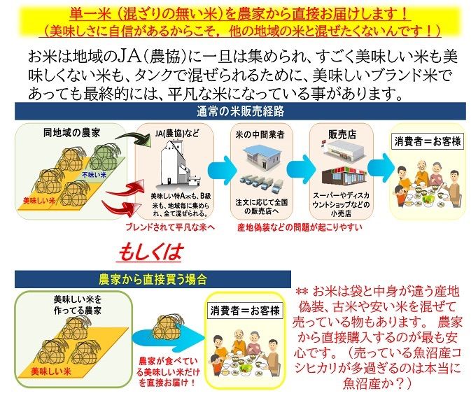 減農薬 令和6年産 新潟こしひかり米粉900g 新潟県三条市旧しただ
