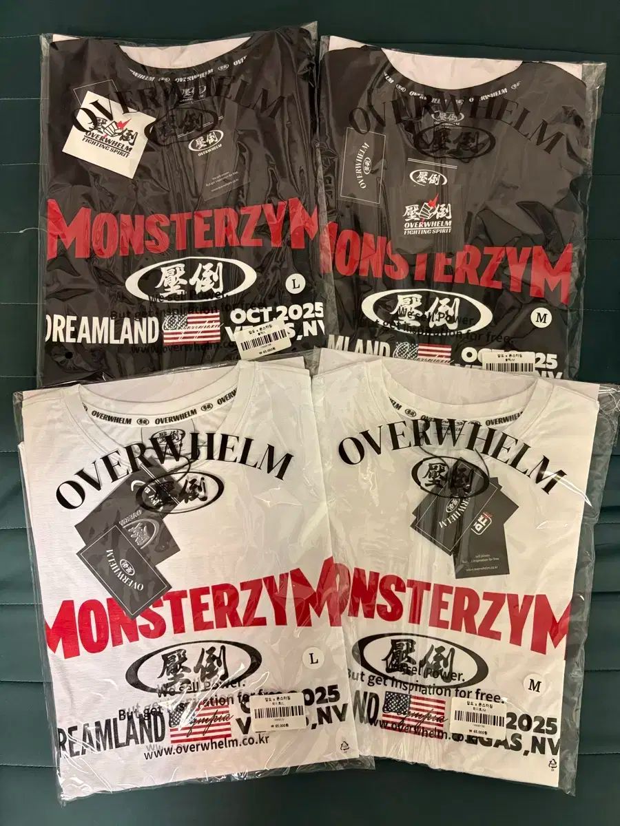 圧倒する モンスタージム Tシャツ M L アブドボンツインフリーダム