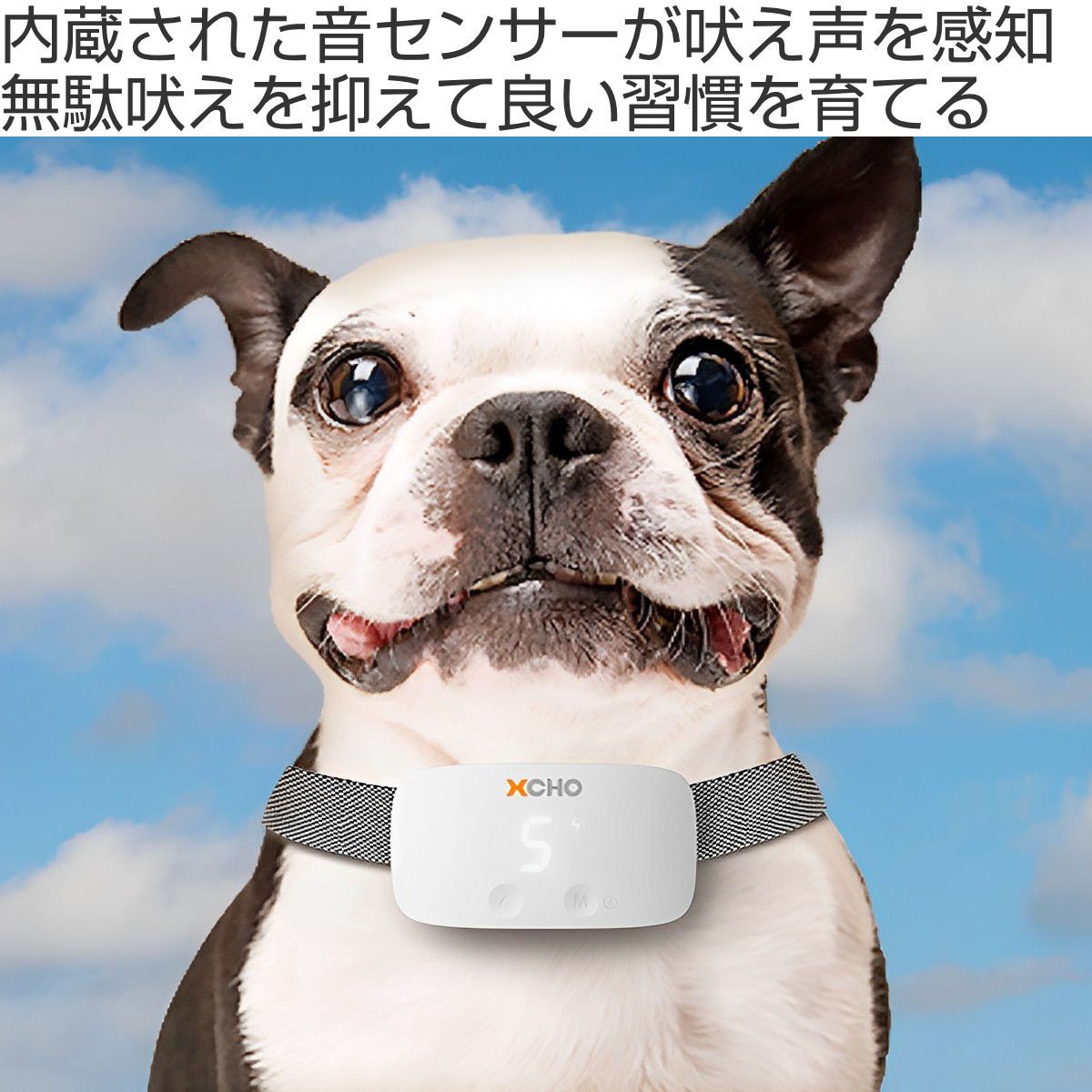 首輪 エクスコー バークトレーニング しつけ用 無駄吠え防止 無駄吠え防止首輪 しつけ トレーニング 無駄吠え バークコントロール 犬用 犬用首輪 しつけ用首輪 電子振動 8段階調節 充電式 USB充電 ペット用 いぬ ドッグ