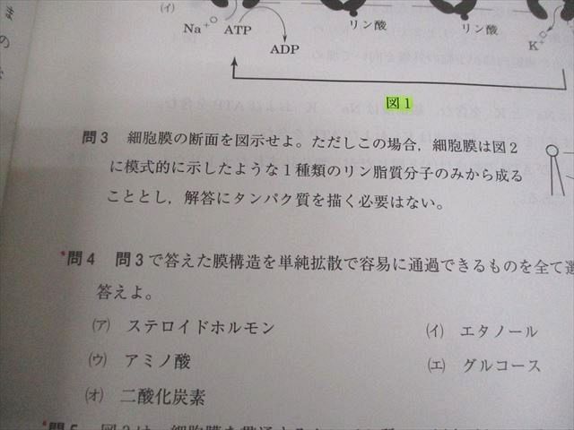 河合塾 私大医進生物演習1/2 テキスト通年セット 2023 計4冊