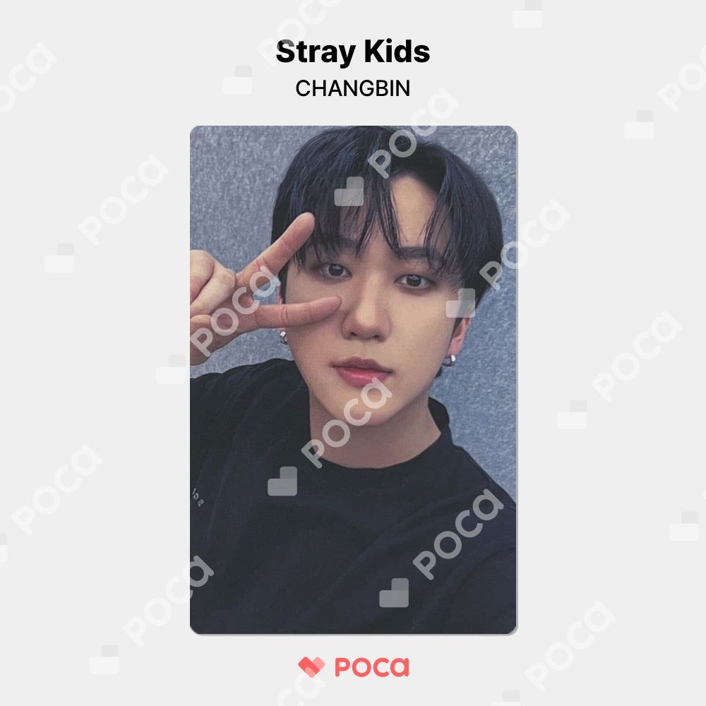 straykids チャンビン スキズ トレカ 樂-STAR ROCK-STAR