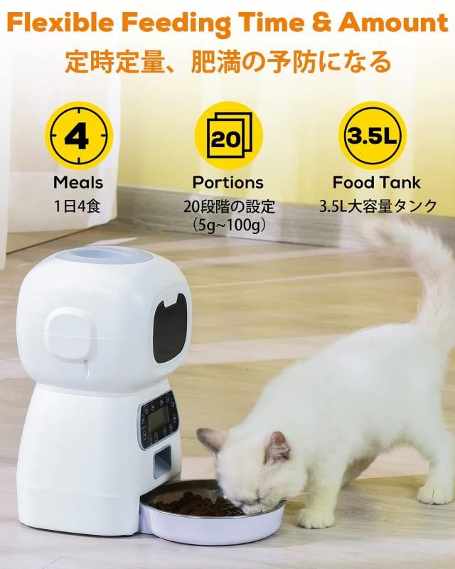 定時定量 1日4食