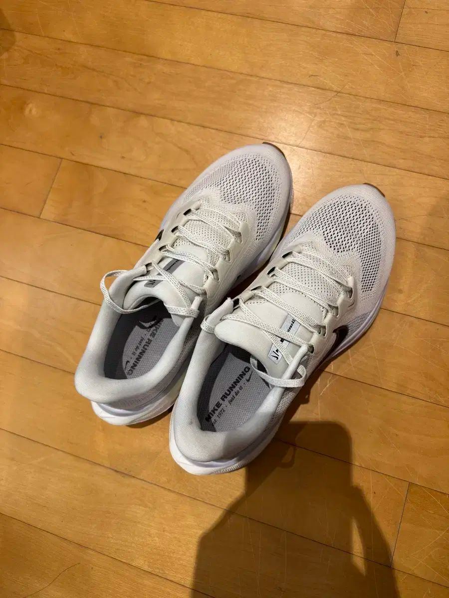 ナイキ エア ズーム ペガサス 41 ランニングシューズ 275mm フルセット 特S級