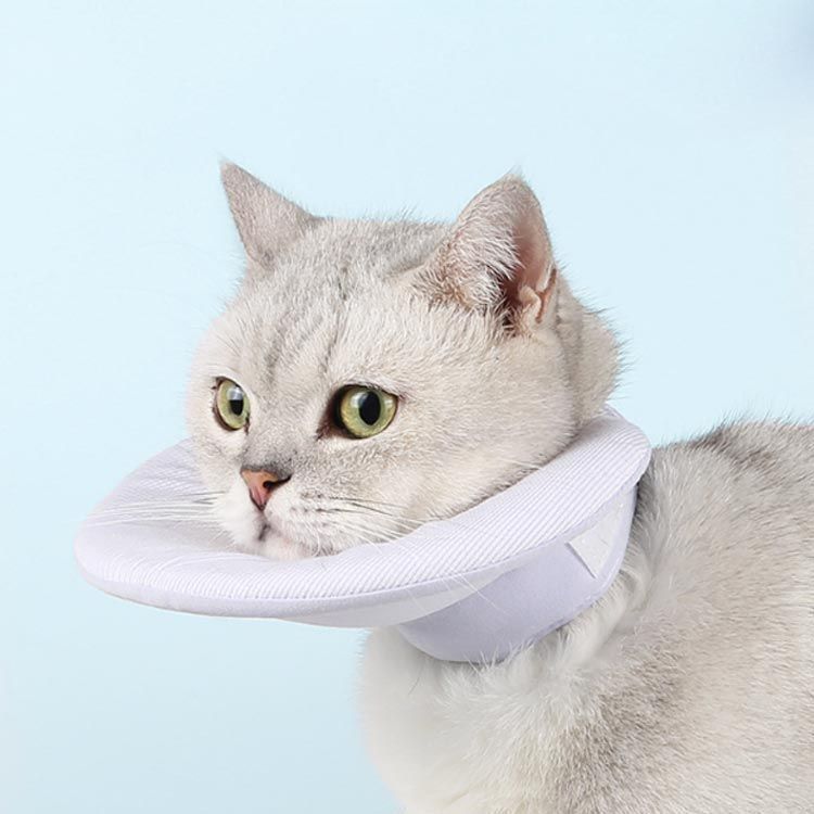 ハーフ