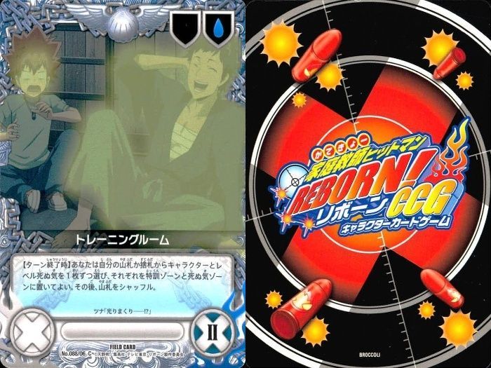 ux65 家庭教師ヒットマン REBORN! リボーン カード まとめ 交涉