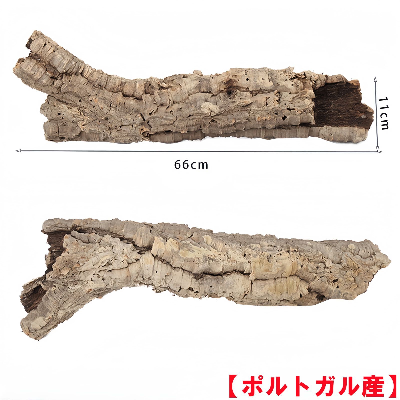 D027 ポルトガル産 キャノンコルク コルク樹皮 コルク板 バージンコルク 送料無料 チランジア ビカクシダ 着生ラン 両生類 爬虫類