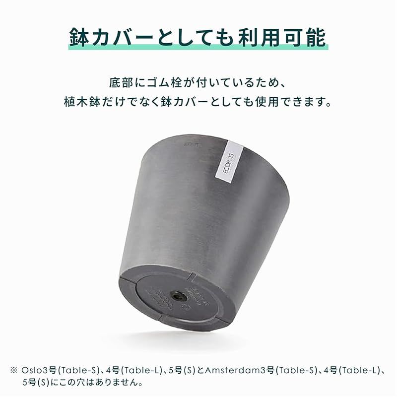 アンドプランツ