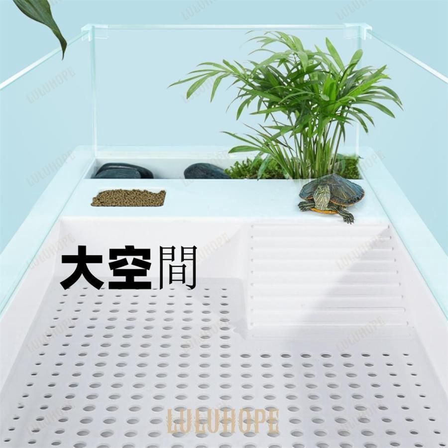 カメの家 見やすい