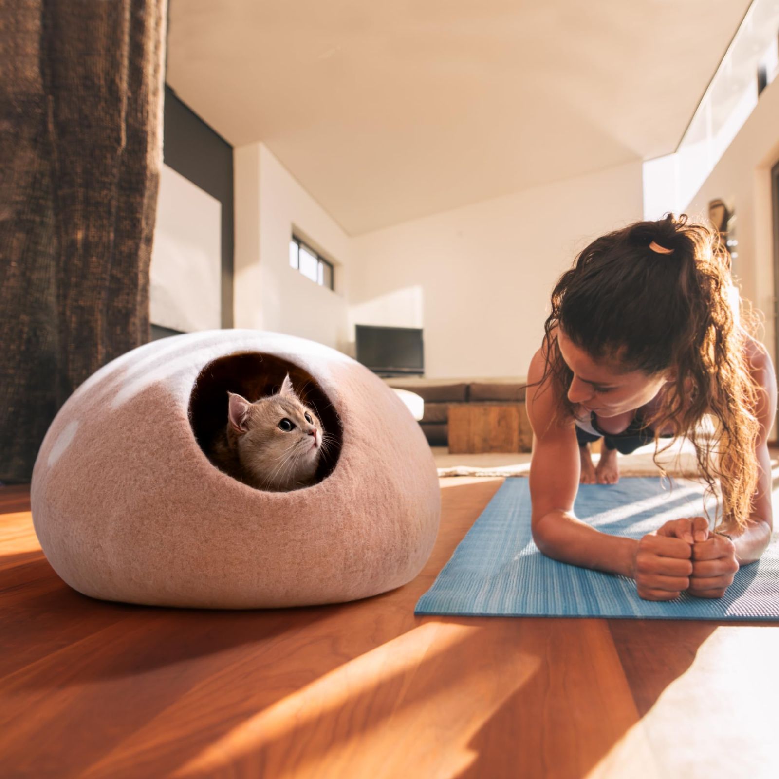 猫ハウス 猫ベッド