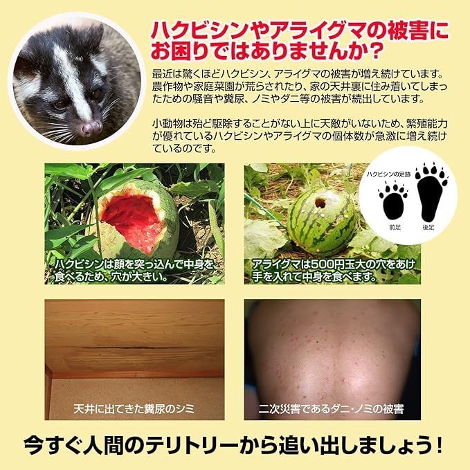 撃退ハクビシン強力タイプ【屋外用】30個入 忌避剤をさらに２倍に増量！激臭シート 撃退ハクビシン強力タイプ【屋外用】30個入 忌避剤をさらに2倍に増量