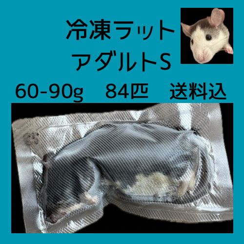 冷凍ラット84匹 アダルトS60〜99g