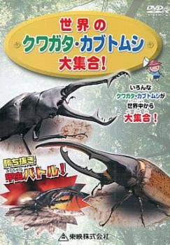 世界のクワガタ・カブトムシ大集合!【趣味、実用 中古 DVD】ケース無:: レンタル落ち - メルカリ