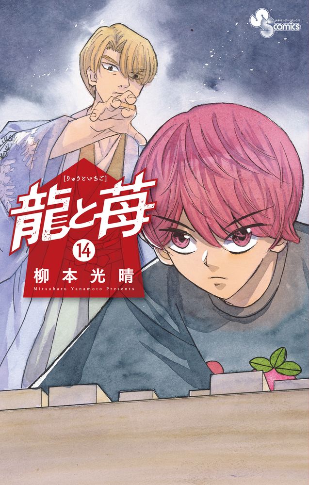 龍と苺 14/小学館/柳本光晴（コミック） - メルカリ
