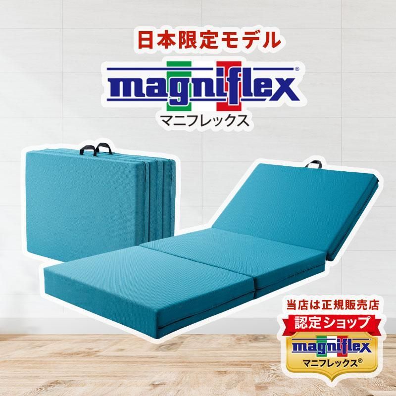 メッシュウィング