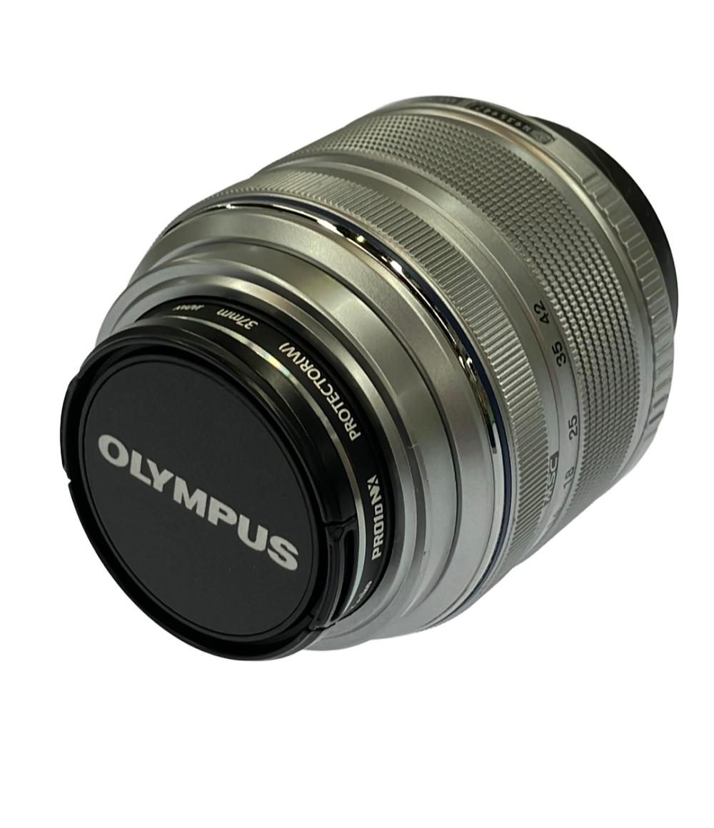 饕餮紋 ブレスレット バングル シルバー925 良い silver925 中国 中華