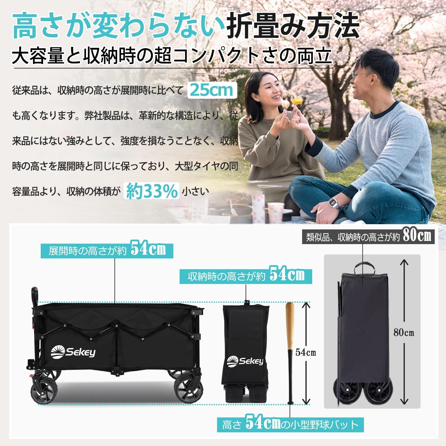 太ノーパンクタイヤ