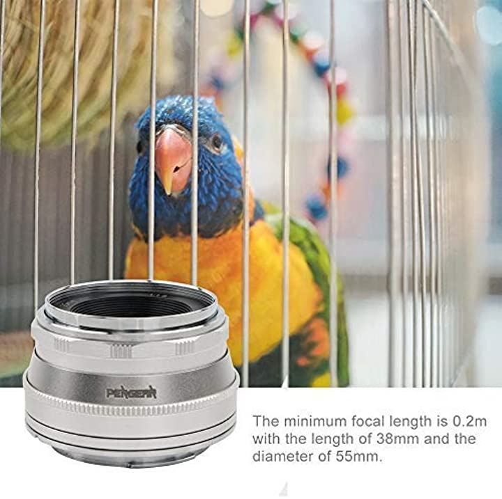 Pergear 25mm