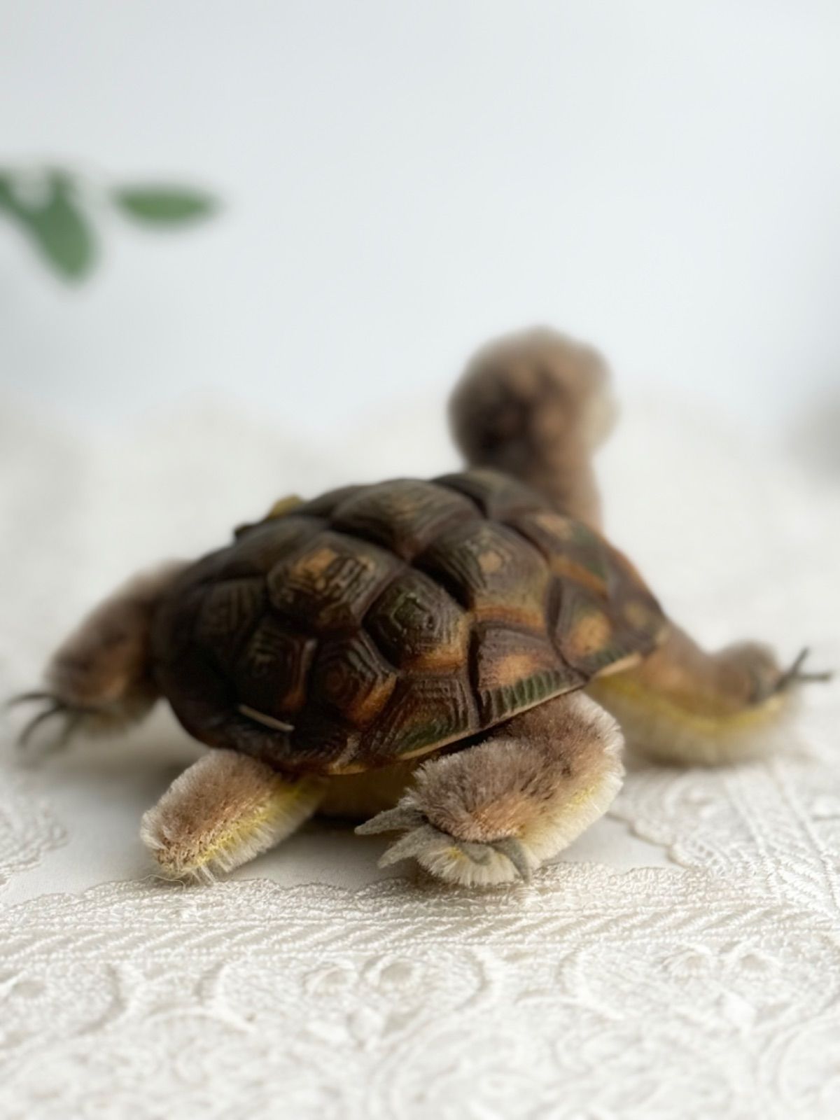 Steiff - シュタイフ★Slo Turtle 10cm ID完品★カメのソロ/タートル/亀 Steiff - シュタイフ☆Slo Turtle 10cm ID完品☆カメのソロ