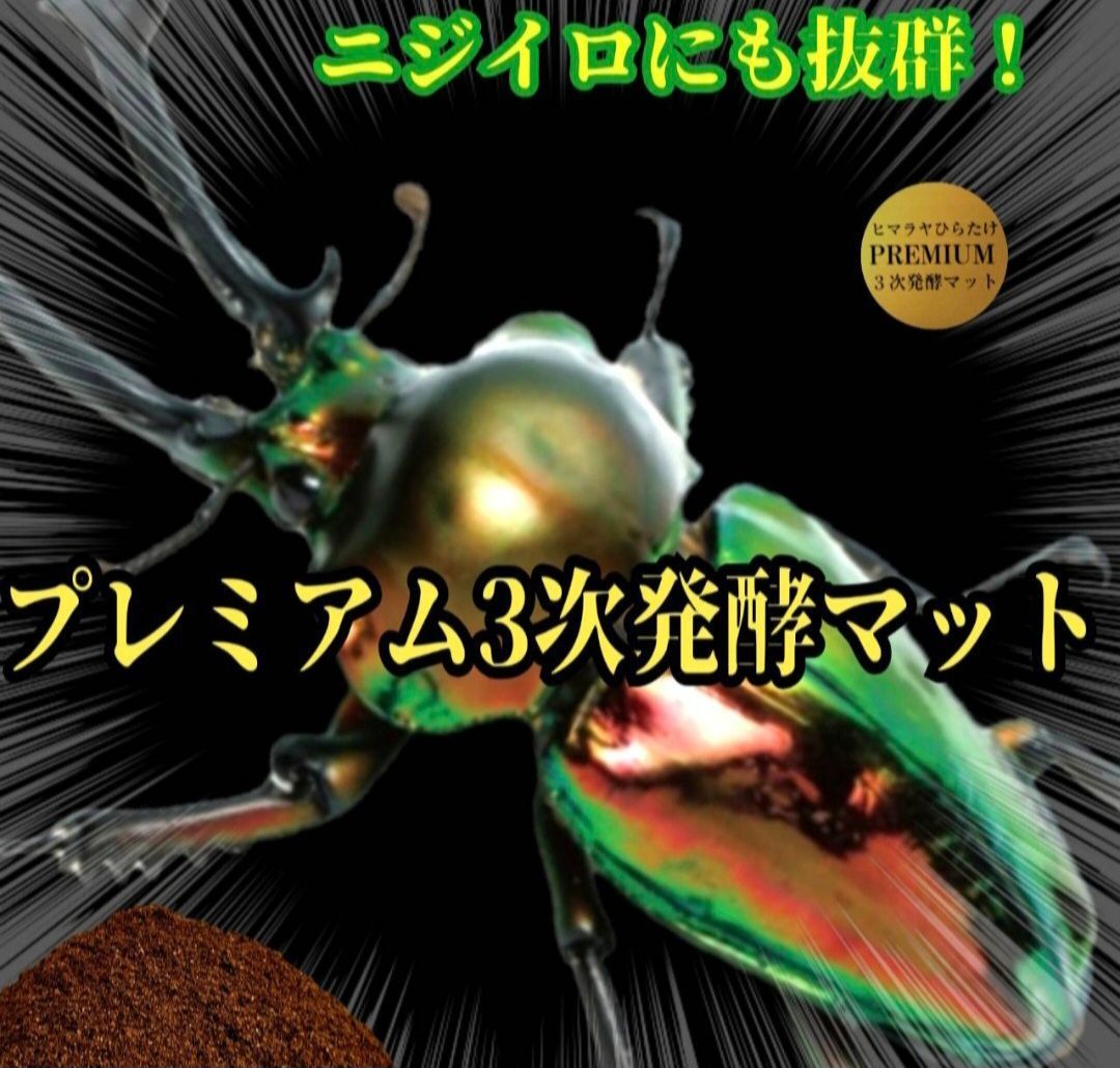 特大サイズ1500mlクリアボトル入り プレミアム3次発酵マット【2本