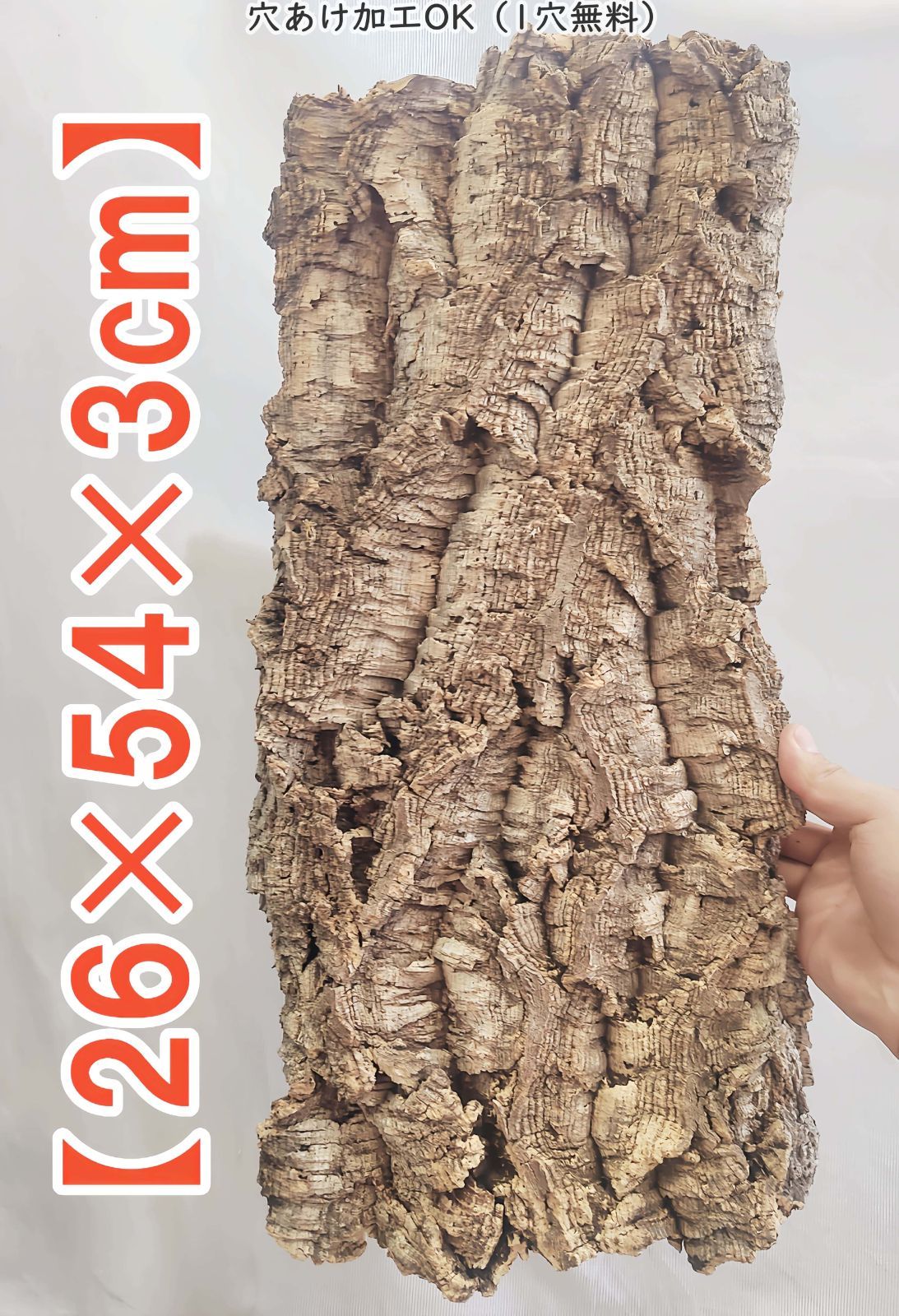 g 138 ポルトガル産 厚め コルク樹皮 コルク板 バージンコルク チランジア ビカクシダ 着生ラン 両生類 爬虫類