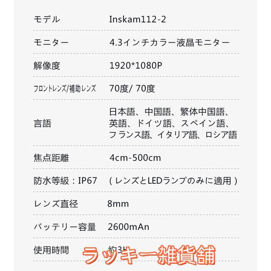 工業用内視鏡 ダブルカメラ