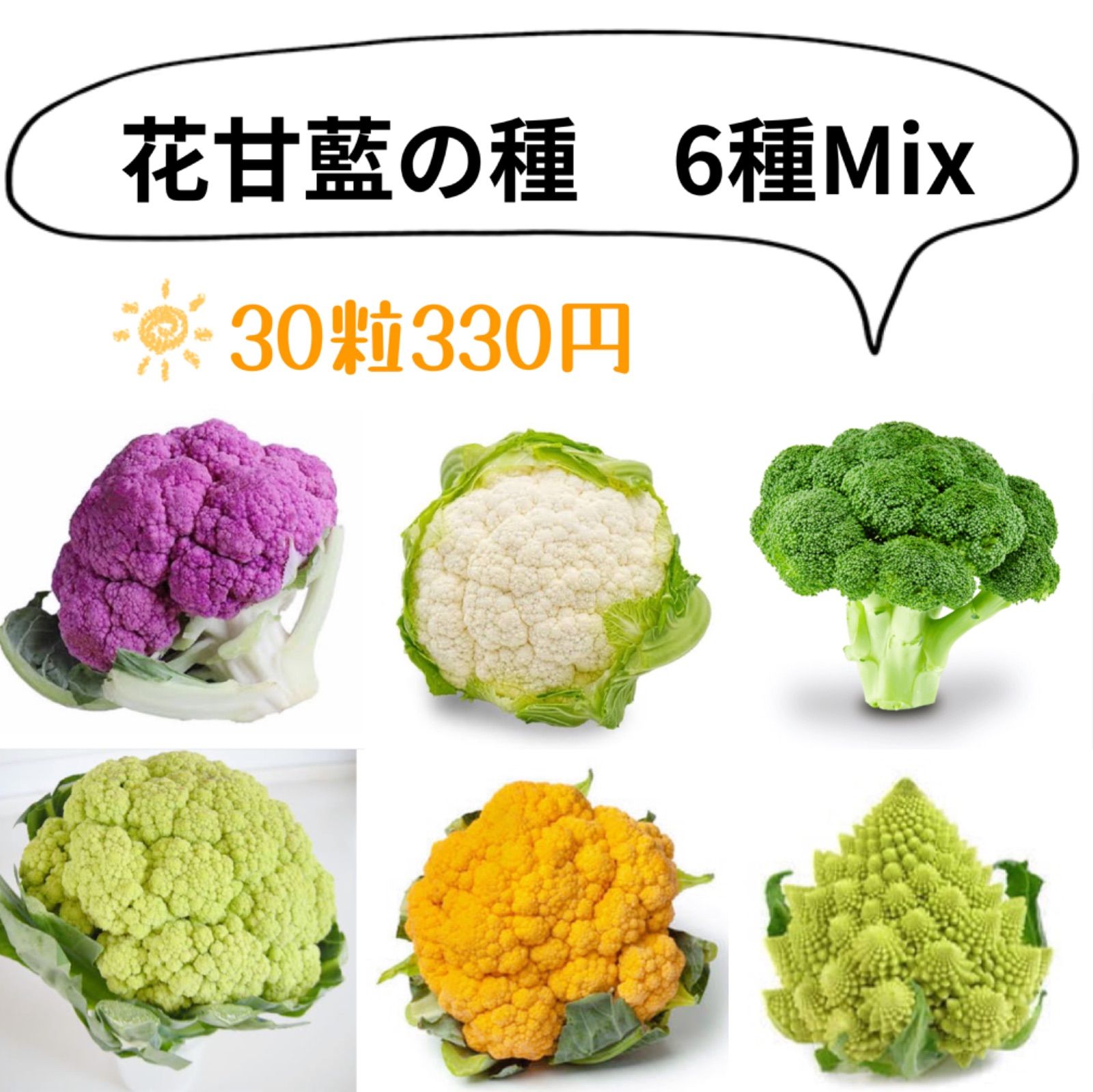 カットブロッコリー 紫カリフラワー 広島県産 セールSALE％OFF - 野菜