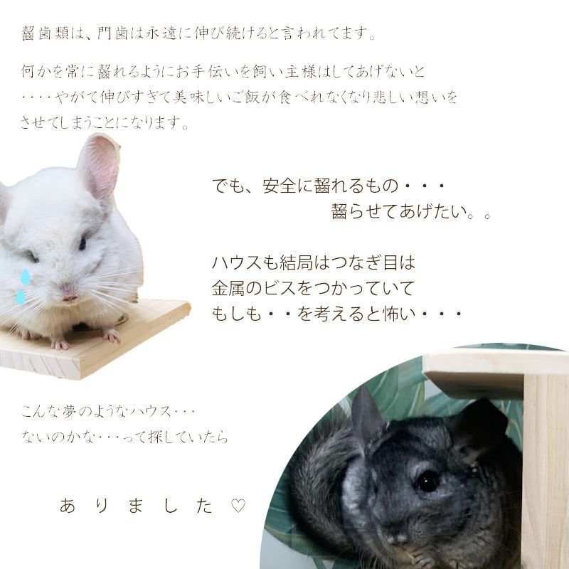 minimal☆月のハウス☆チンチラ☆ステージ - 小動物用品