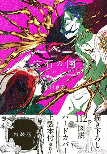宝石の国(11)特装版 (プレミアムKC)／市川 春子