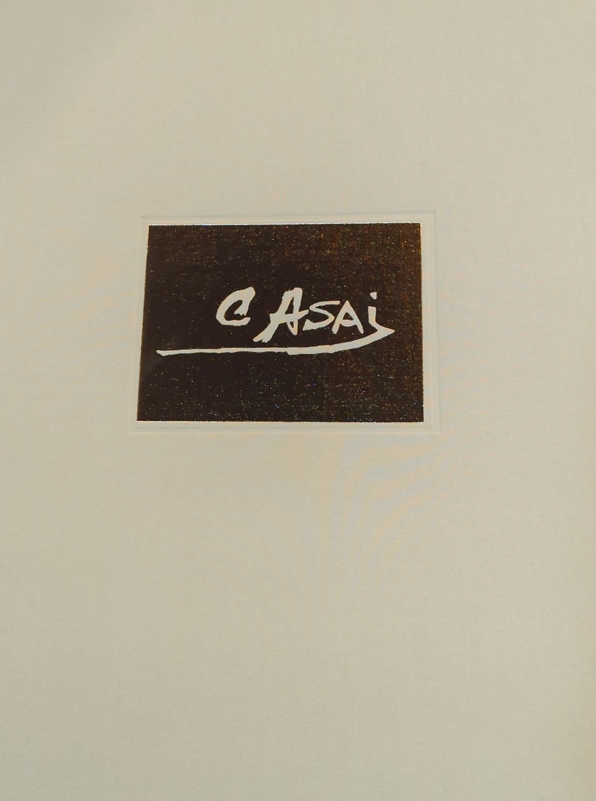 浅井忠　画集 000000001317_3Y73aOl.jpg