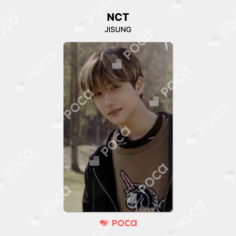 NCT チソン トレカ NCT LIFE: DREAM in Wonderland FLIP BOOK